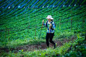 BIB: 
                            <button type="button" onclick="openModal(19160123)" class="btn btn-primary btn-sm float-right btn-popup" data-toggle="modal" data-target=".modal-high-quality">
                        <i class="fas fa-shopping-cart"></i> Add to Cart
                    </button>
                                            <button type="button" onclick="isThisMe(19160123, true)" class="btn btn-success btn-sm float-right btn-popup btn-isme hidden" data-toggle="tooltip" data-placement="bottom" title="นี่คือรูปของคุณใช่ไหม คลิกที่นี่เพื่อเอาเข้าอัลบั้ม">
                        <i class="fas fa-plus"></i> Add to album
                    </button>
                    <button type="button" onclick="isThisMe(19160123, false)" class="btn btn-warning btn-sm float-right btn-popup btn-isnotme hidden">
                        <i class="fas fa-ban"></i> Remove from album
                    </button>